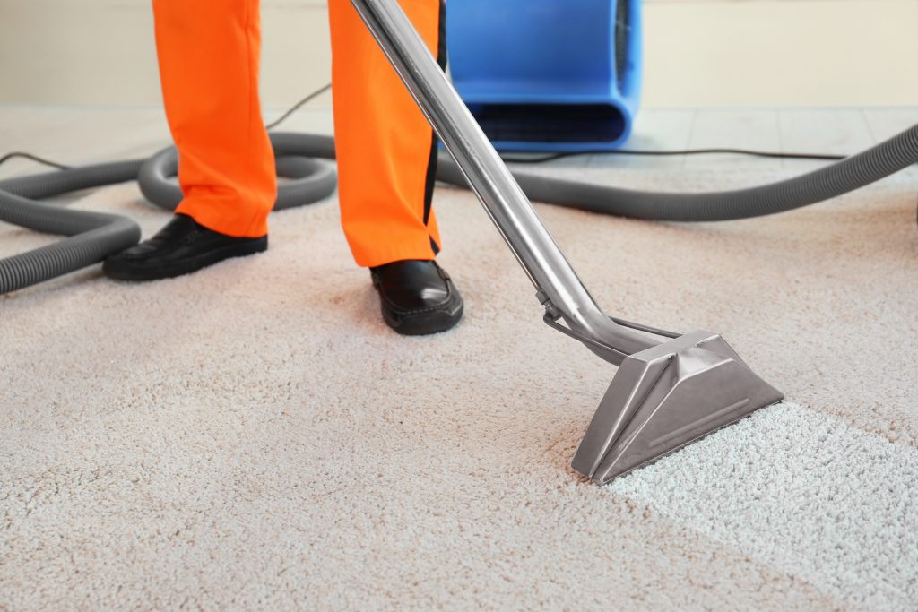 The Best Ways To Clean Carpets Like You’re The Boss
